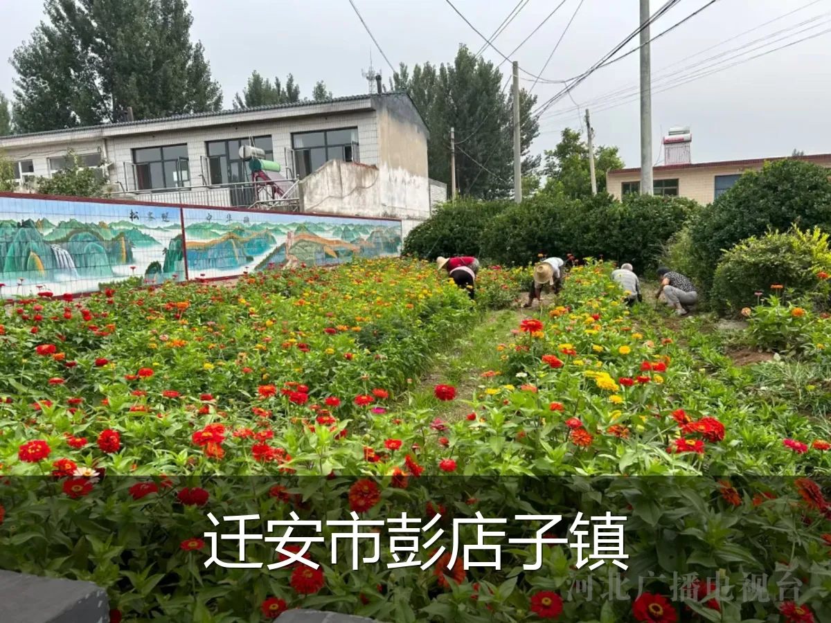 迁安市彭店子镇